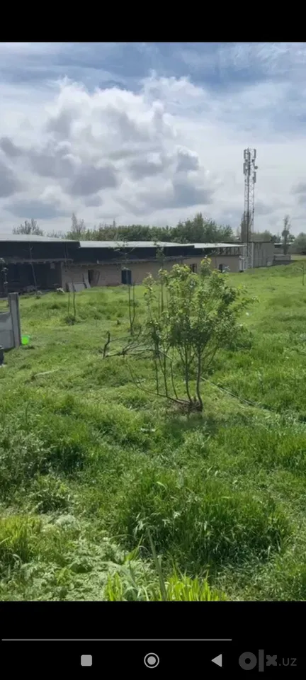 Tashkent Region