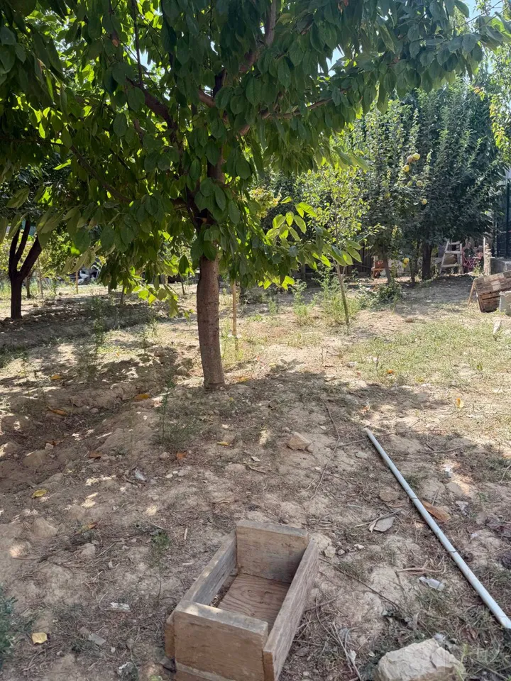 Tashkent Region