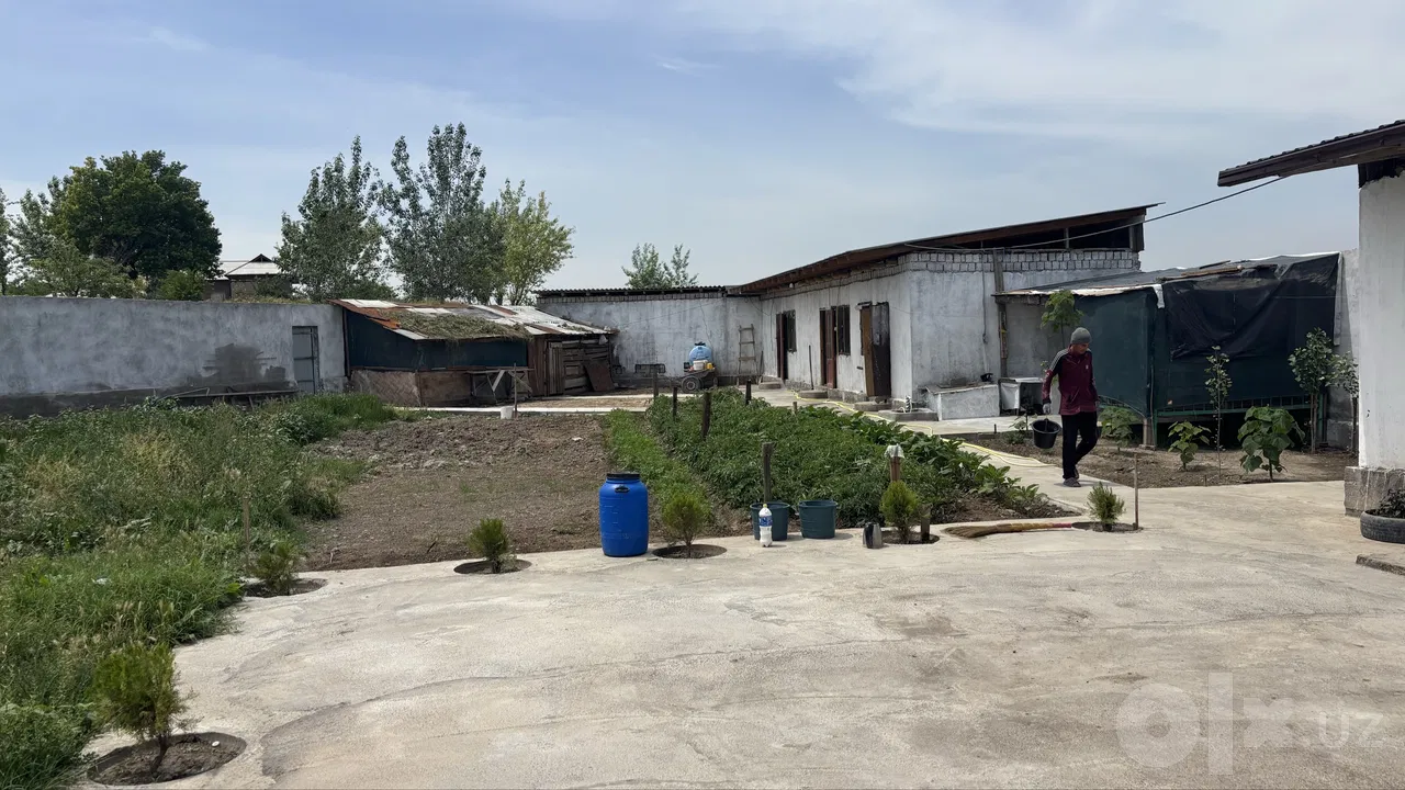 Tashkent City, Bektemir District