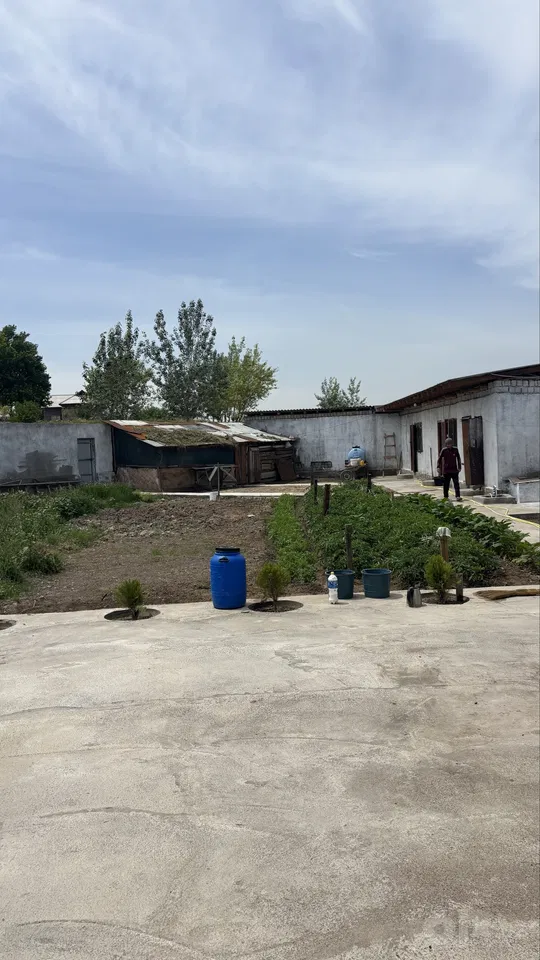 Tashkent City, Bektemir District