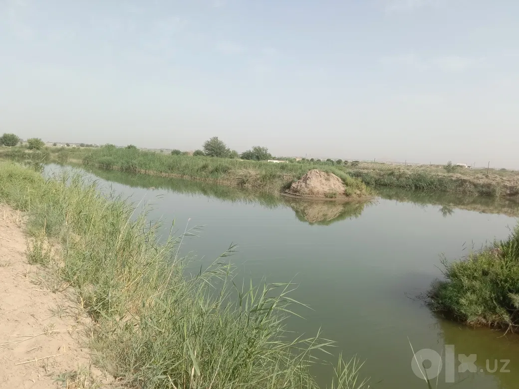 Surkhandarya Region