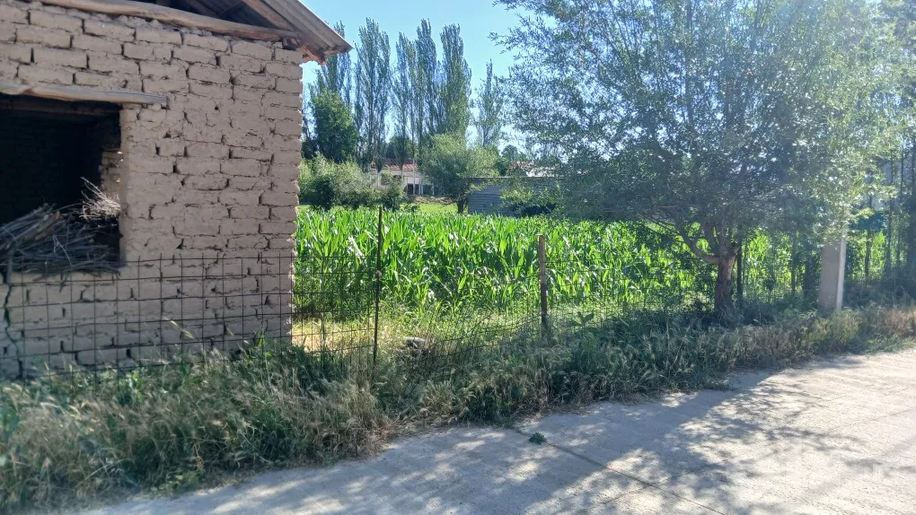 Tashkent Region