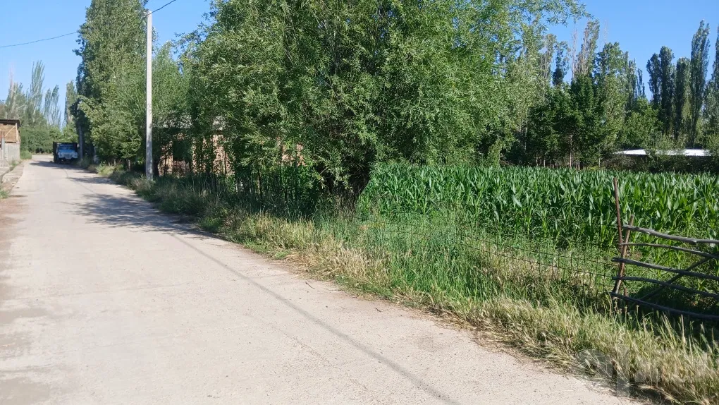 Tashkent Region
