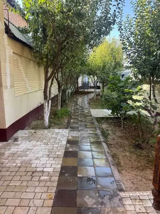 город Ташкент, Мирзо-Улугбекский район