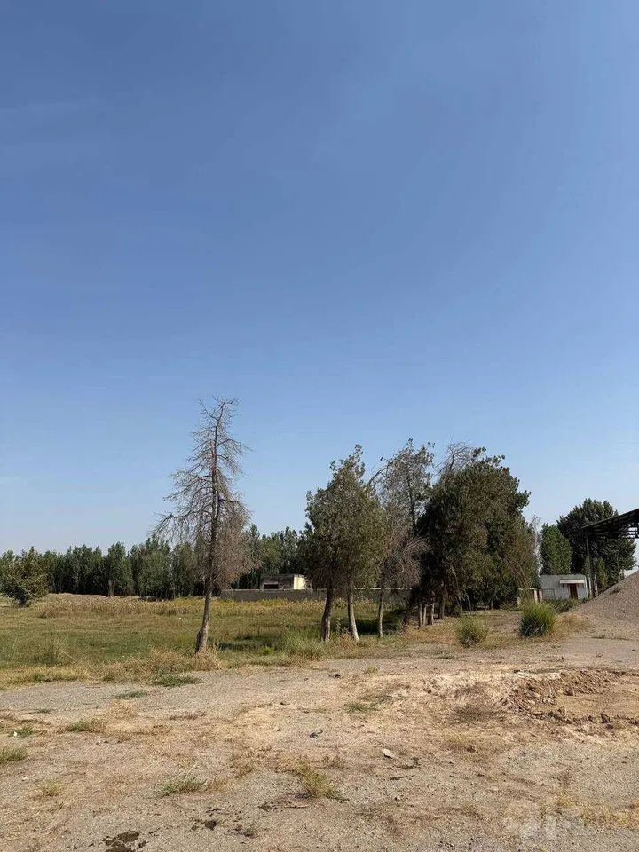 Tashkent City, Sergeli District