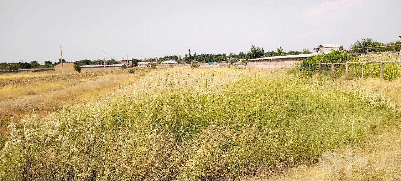 Tashkent Region