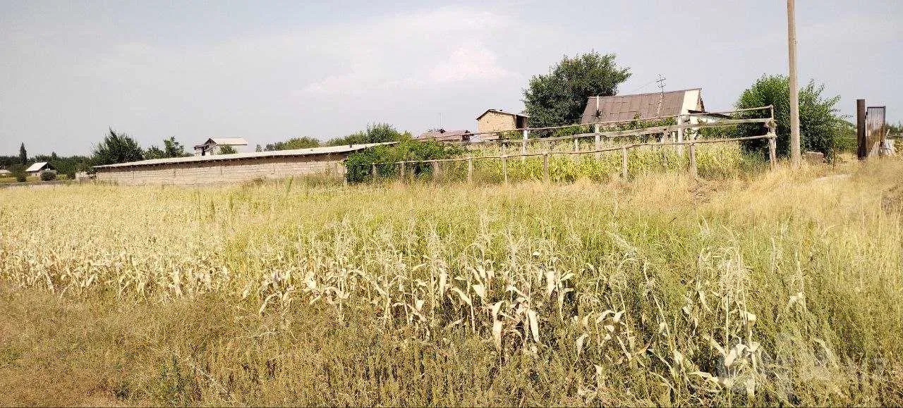 Tashkent Region