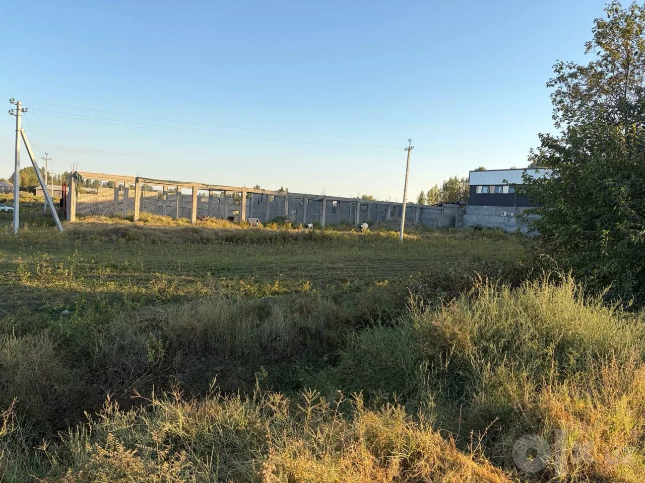 Tashkent Region