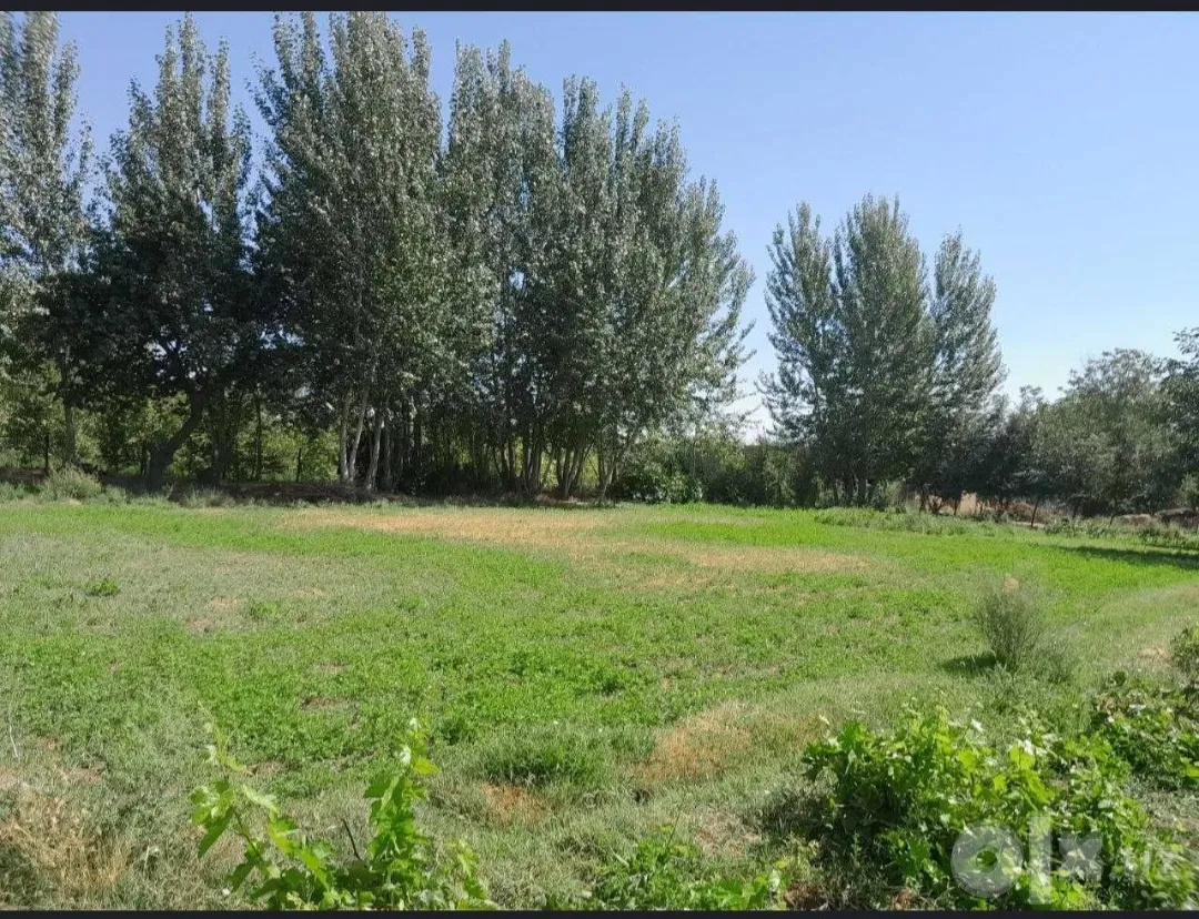 Samarkand Region