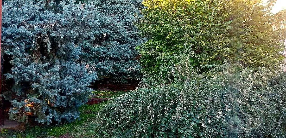 Tashkent City, Mirzo Ulug'bek District