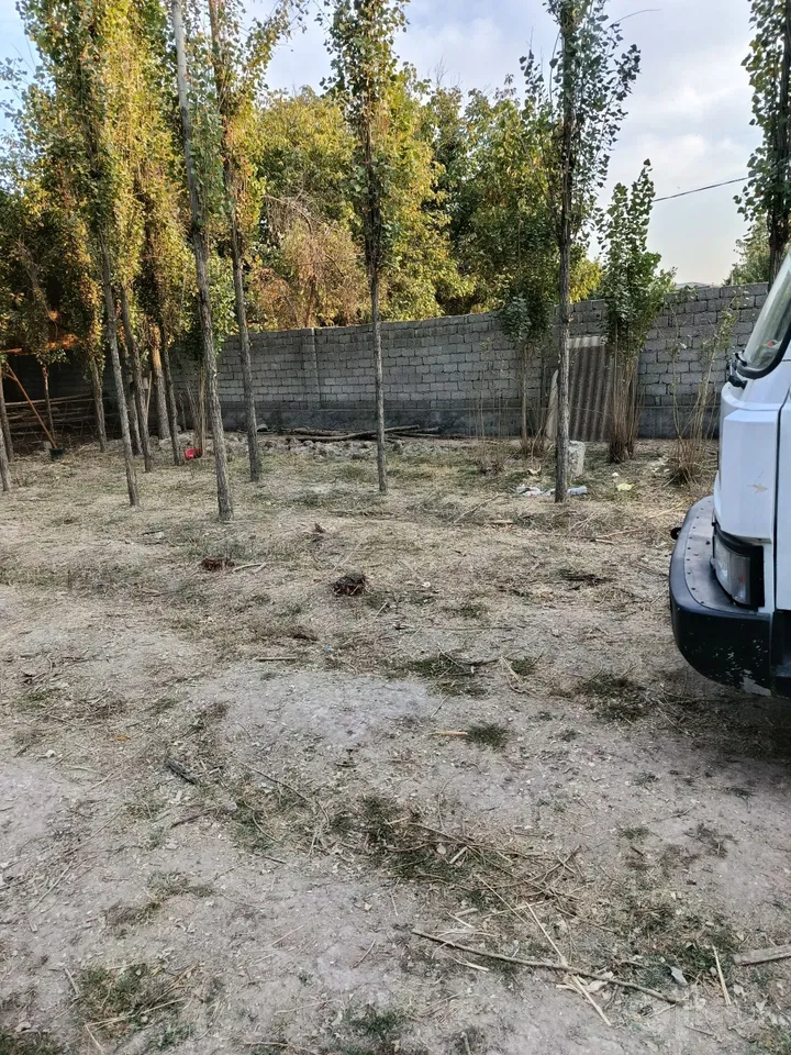 Tashkent City, Bektemir District