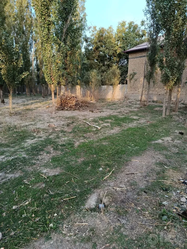 Tashkent City, Bektemir District
