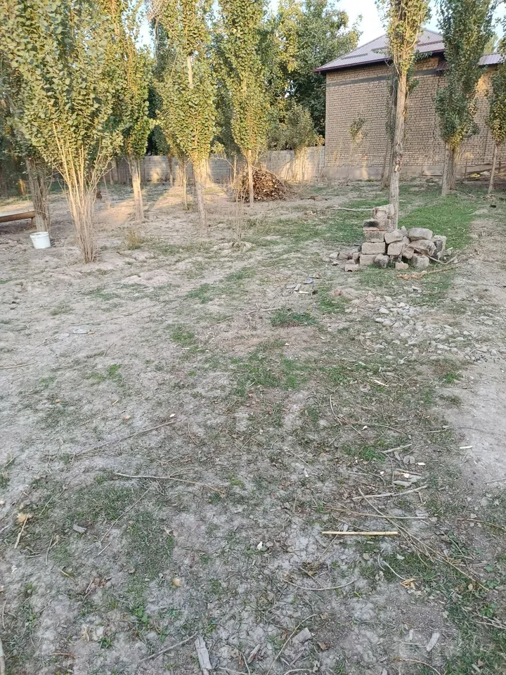 Tashkent City, Bektemir District