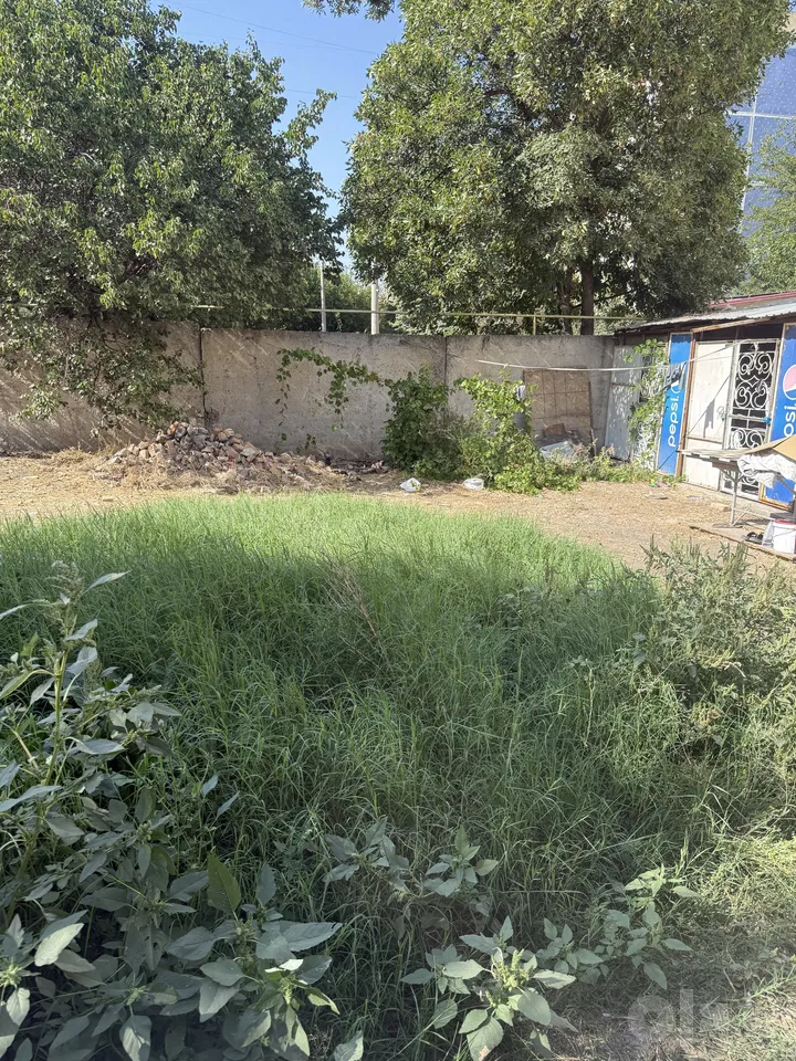 Tashkent City, Mirzo Ulug'bek District