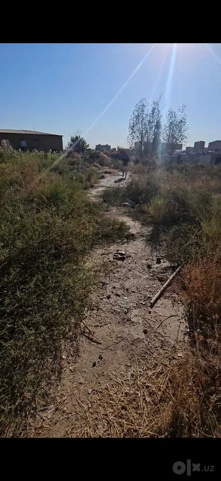 Tashkent Region, Yangiyo'l