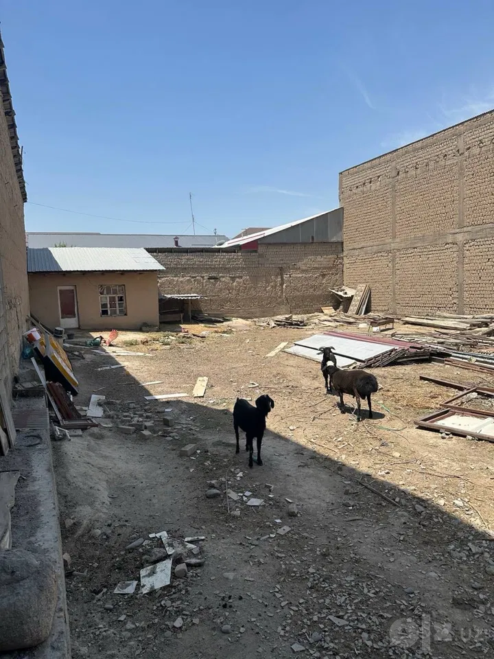 Samarkand Region, Samarkand