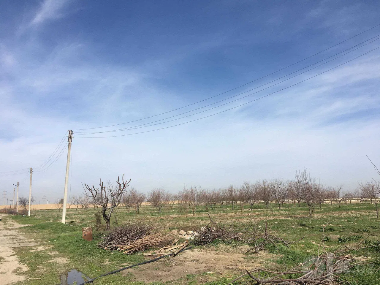 Samarkand Region, Samarkand