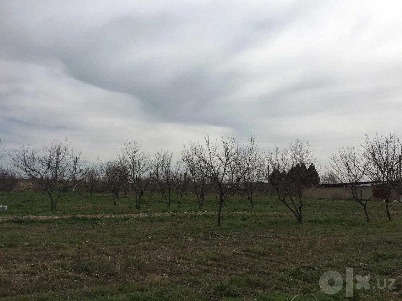 Samarkand Region, Samarkand