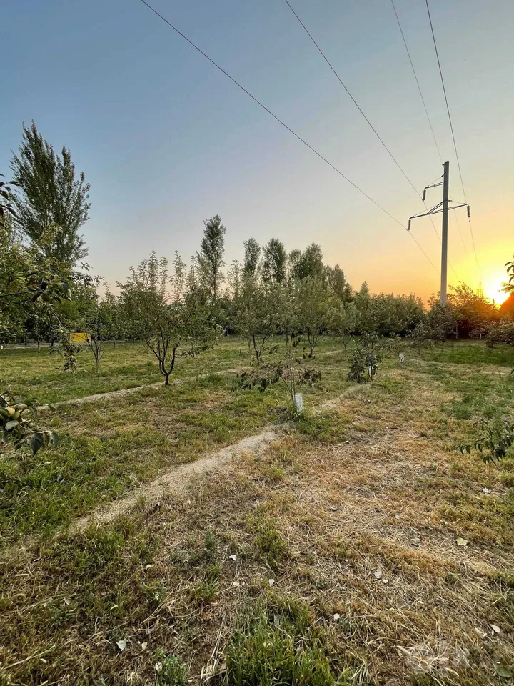 Tashkent City, Sergeli District