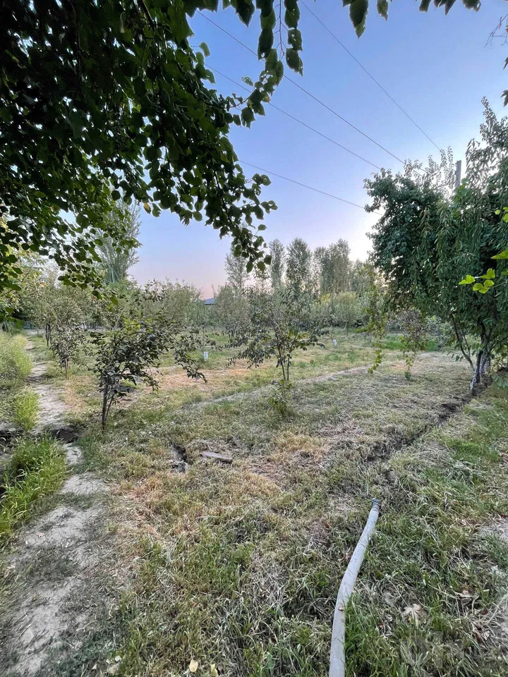 Tashkent City, Sergeli District