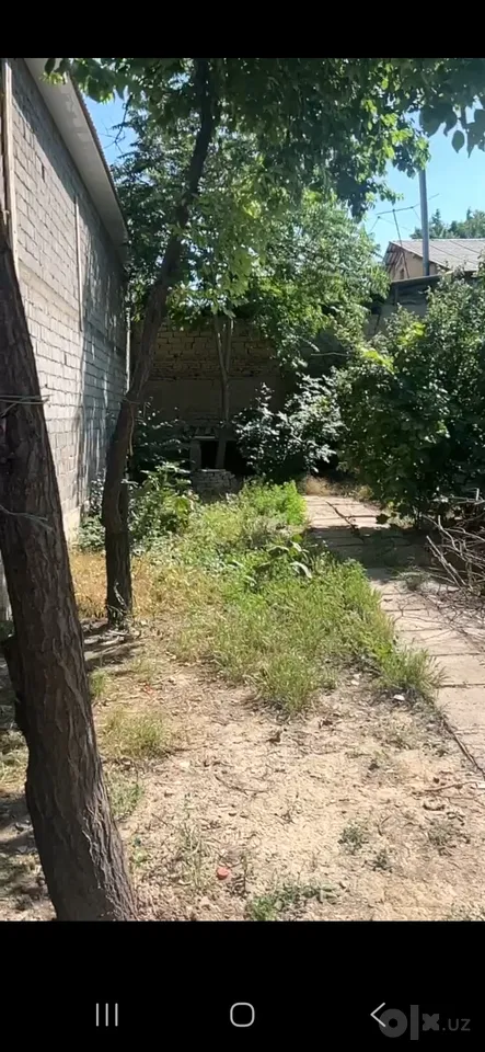 Tashkent City, Mirzo Ulug'bek District