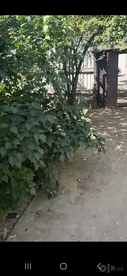 Tashkent City, Mirzo Ulug'bek District