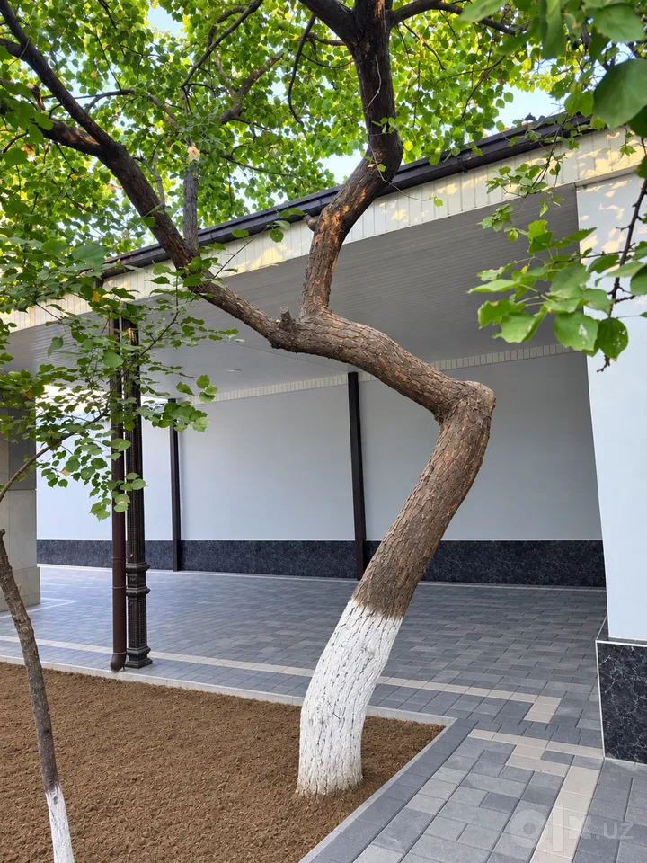 Tashkent Region