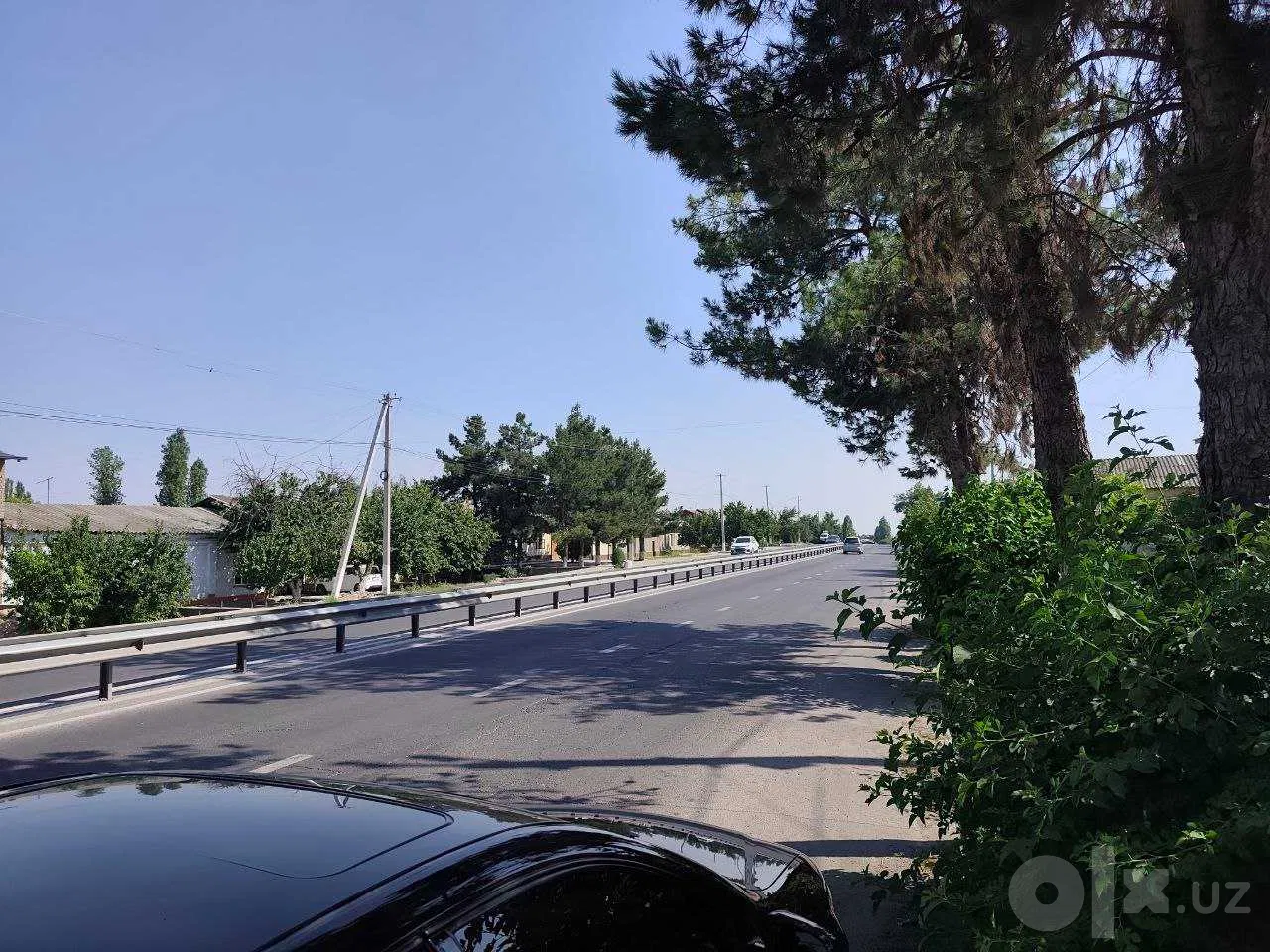 Tashkent Region