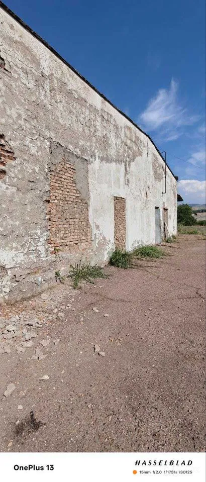 Tashkent Region