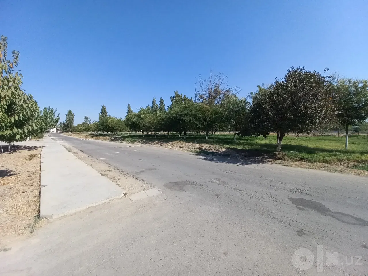 Tashkent City, Bektemir District