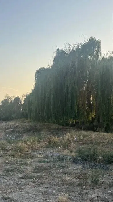 Tashkent City, Yakkasaroy District