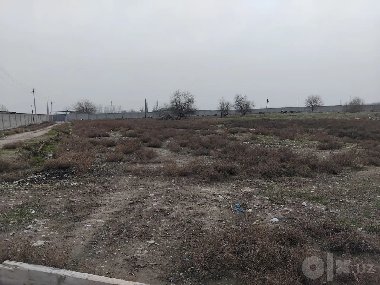 Tashkent City, Yakkasaroy District