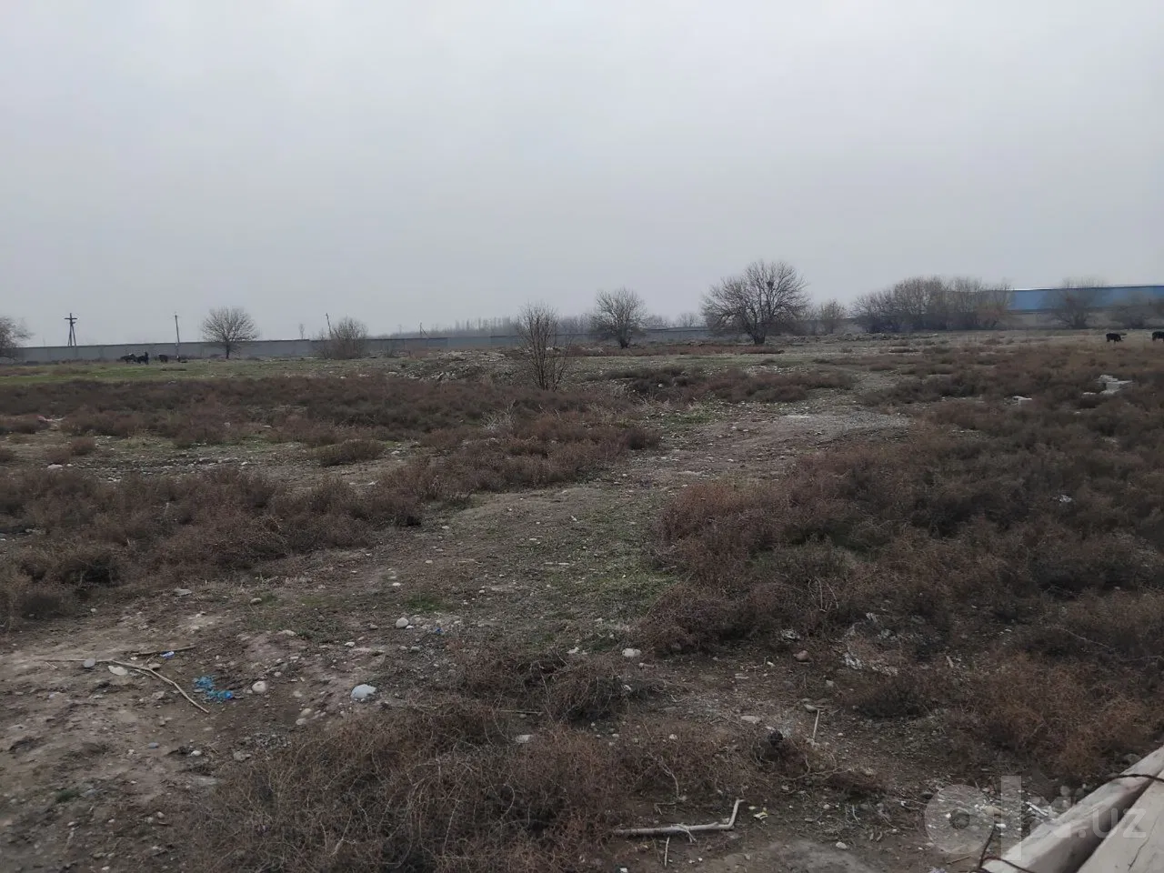 Tashkent City, Yakkasaroy District