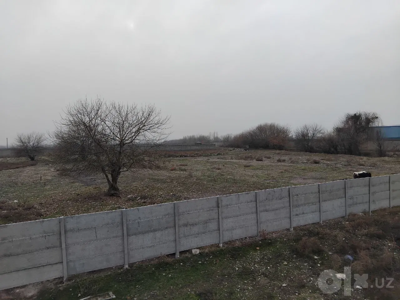 Tashkent City, Yakkasaroy District