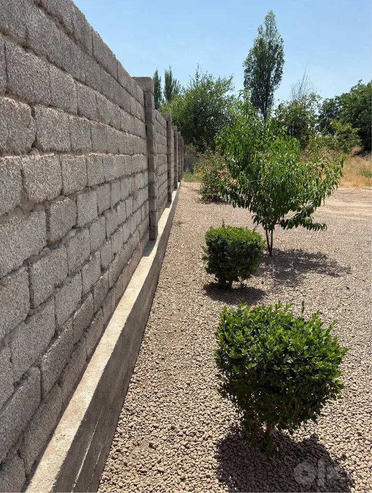 Tashkent Region
