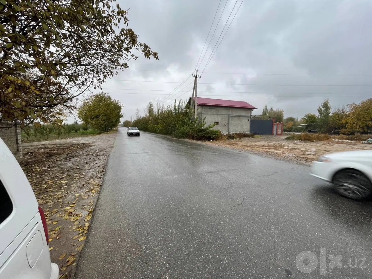 Tashkent Region