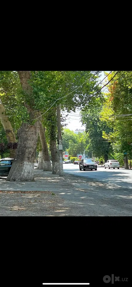 Tashkent City, Mirzo Ulug'bek District