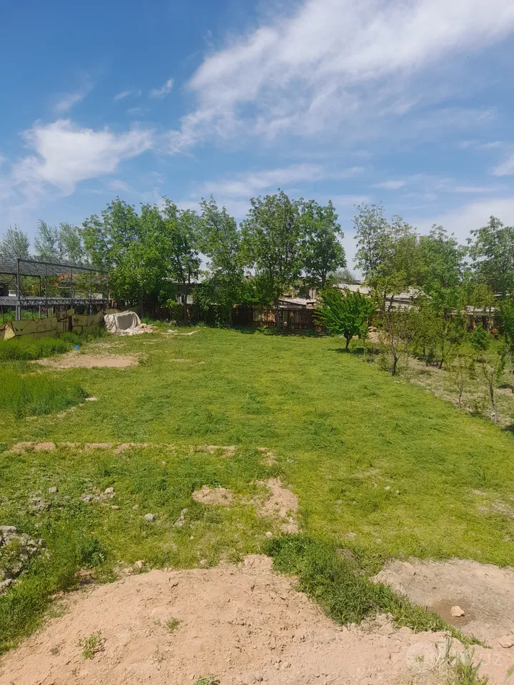 Tashkent Region