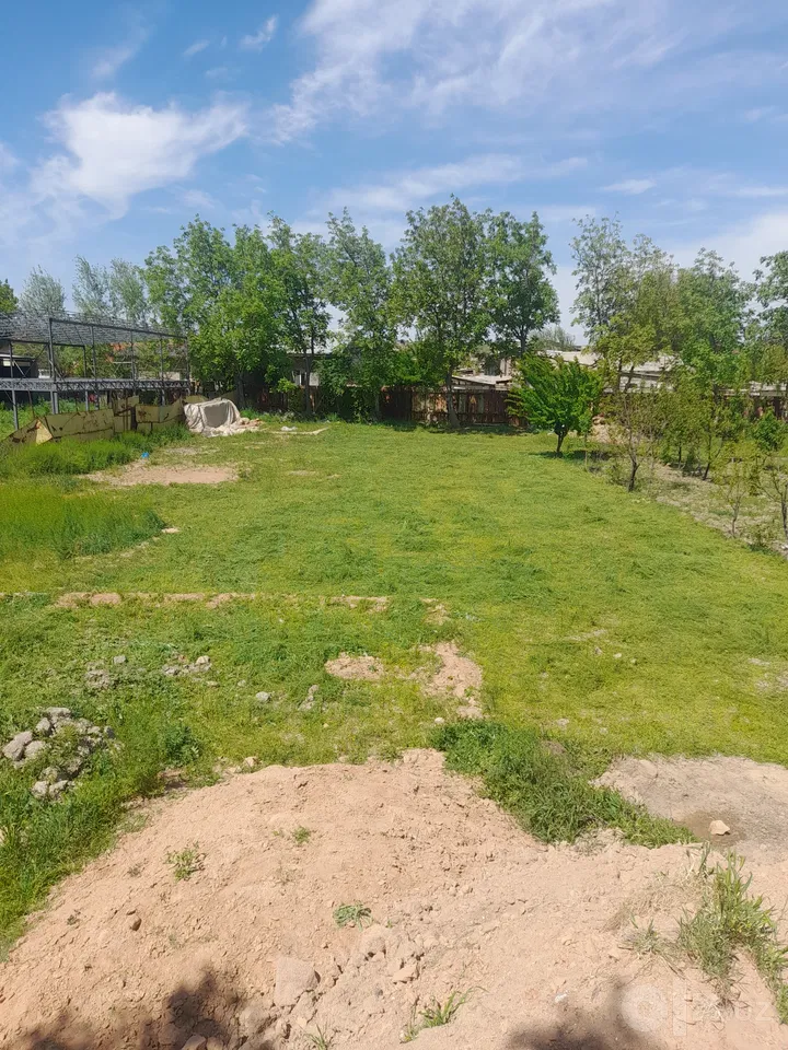 Tashkent Region