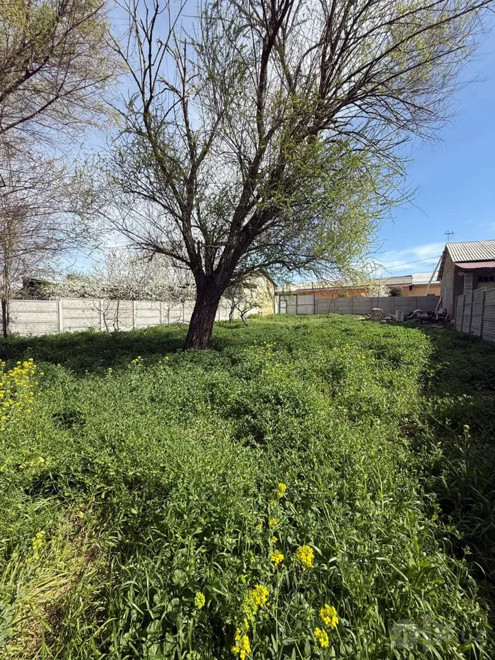 Tashkent City, Shayxontohur District