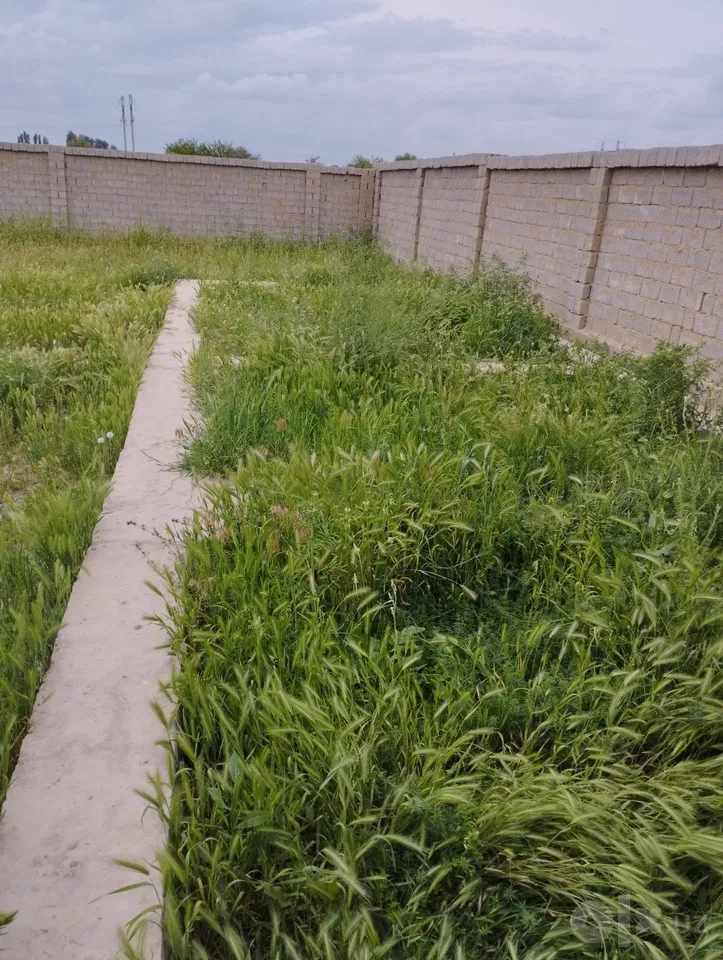 Tashkent City, Sergeli District