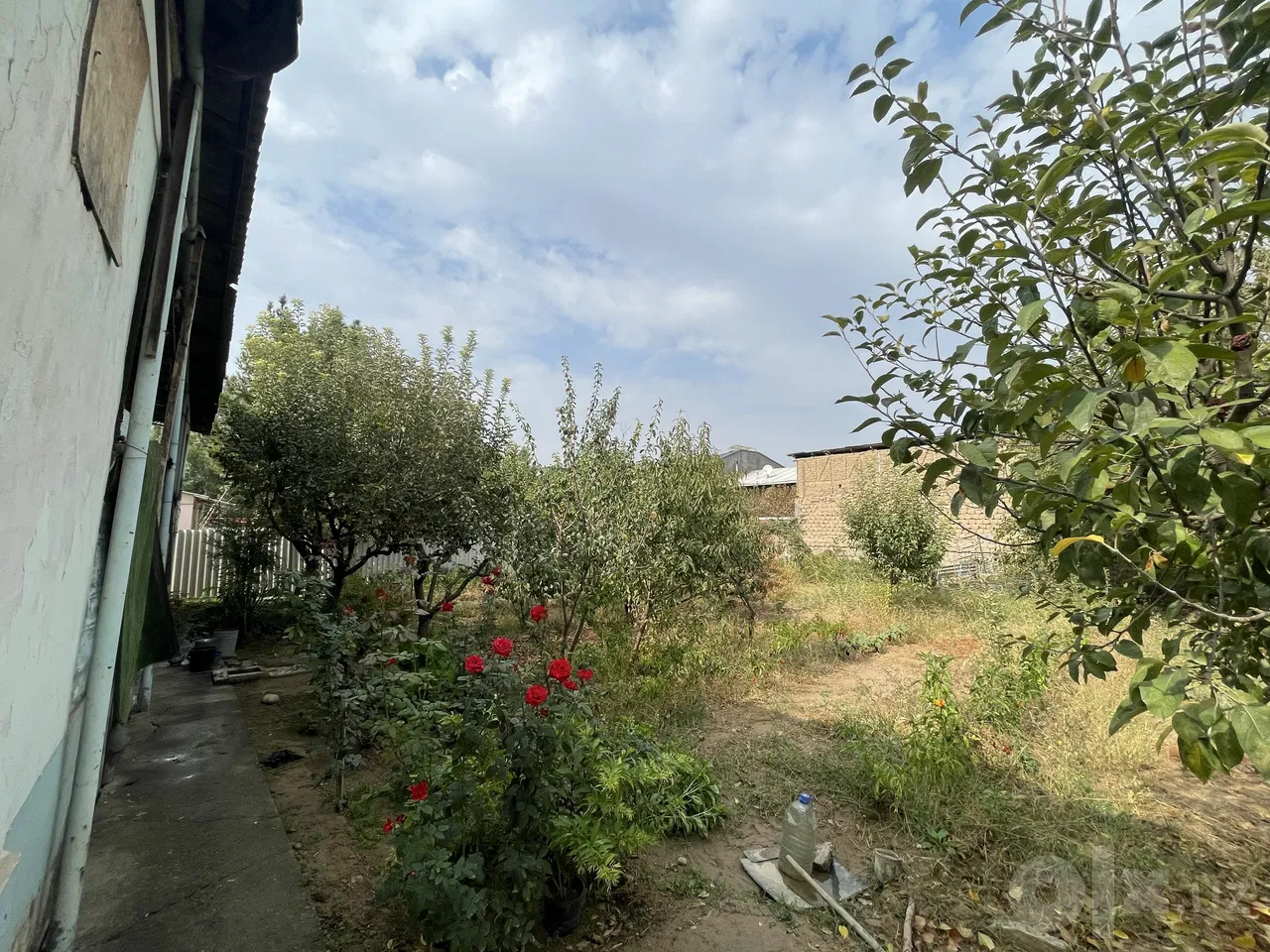 Tashkent Region
