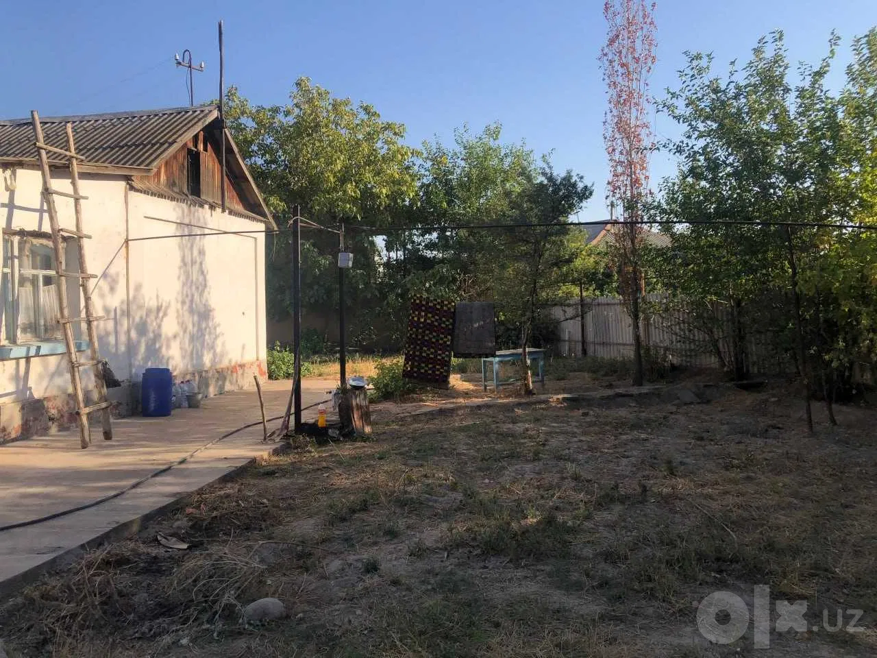 Tashkent Region