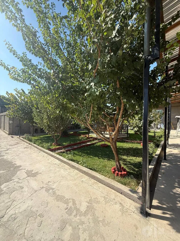 Tashkent Region