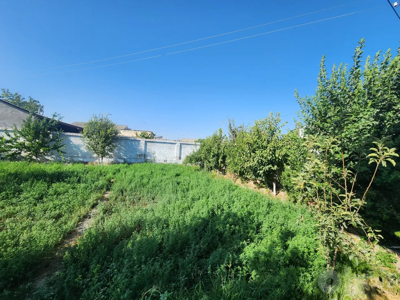 Samarkand Region, Samarkand