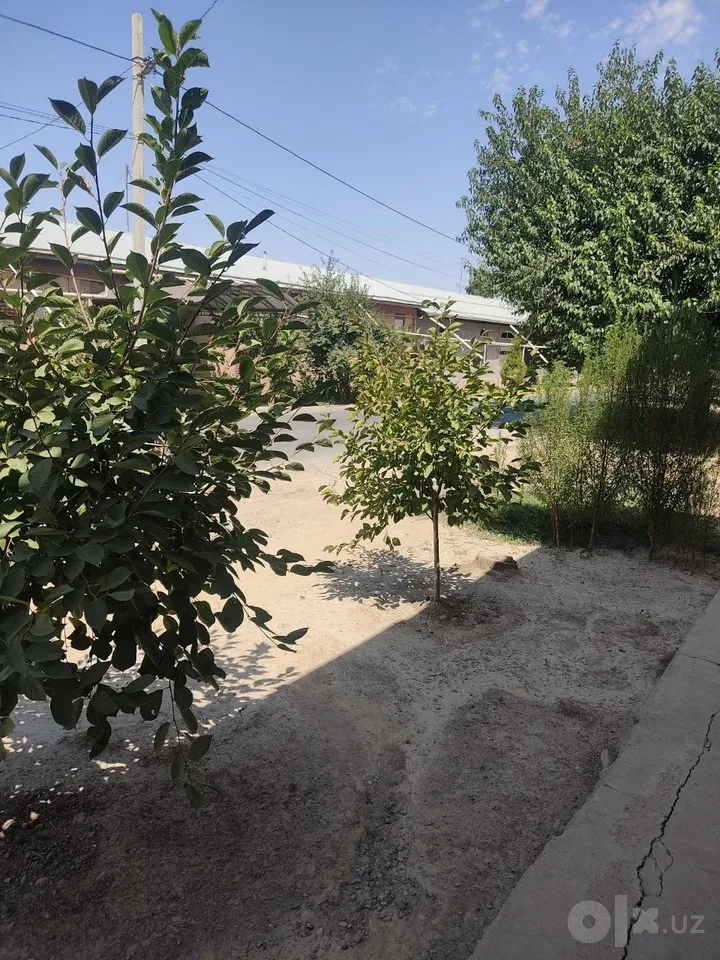 Tashkent Region