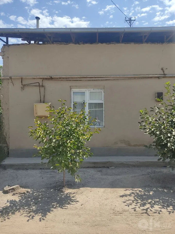 Tashkent Region
