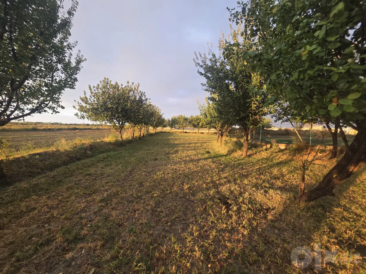 Bukhara Region