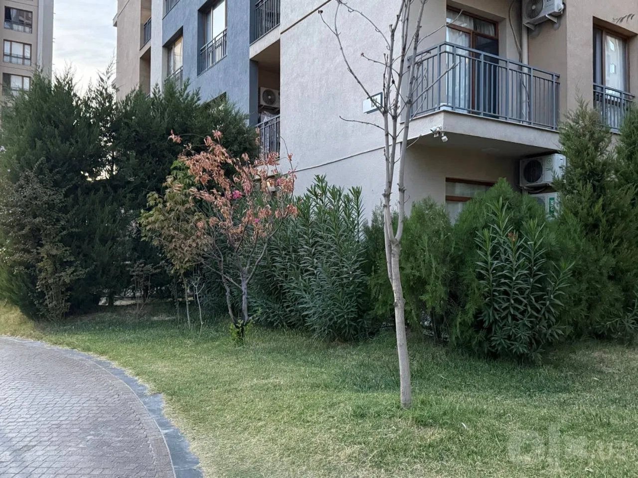 Tashkent City, Olmazor District