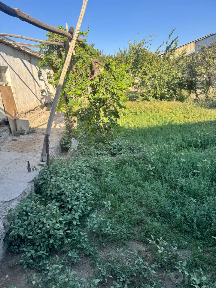 Bukhara Region, Bukhara